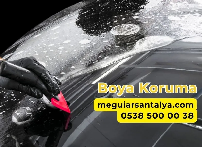 Boya Koruma